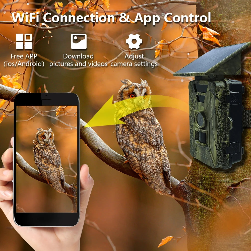 Fargarloo 8K Solar Trail Camera With Wifi Night Vision
