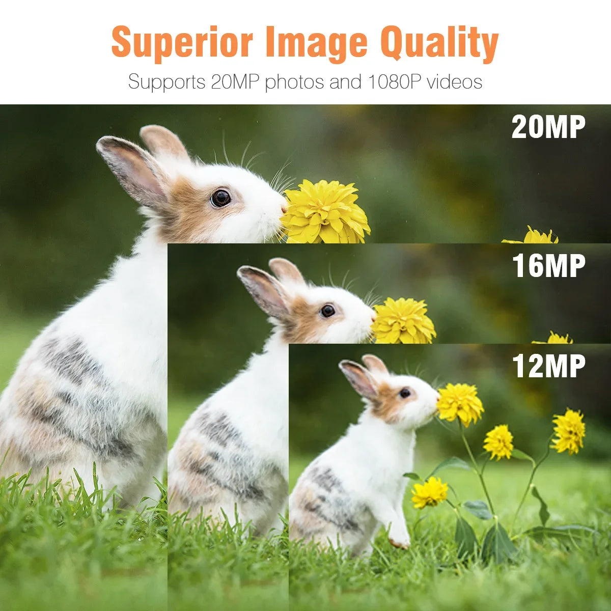 Suntek Mini301 Trail Camera 24MP 1080P Night Vision Waterproof HD