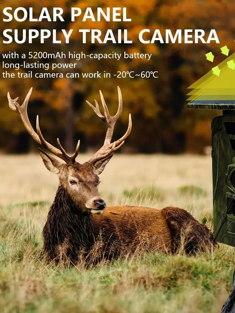 Fargarloo 8K Solar Trail Camera With Wifi Night Vision