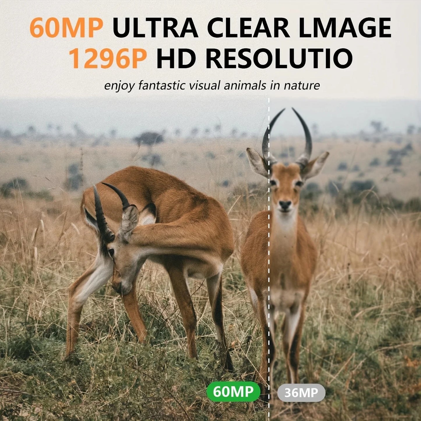 Fargarloo 60Mp Wifi Trail Camera With Infrared Night Vision