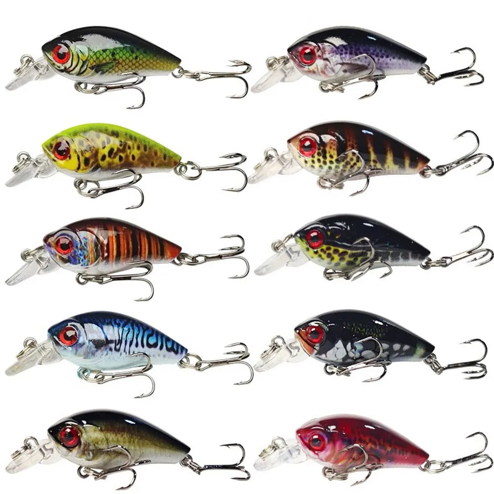 Assorted Lifelike Mini Crankbait Fishing Lures 10 Piece Set